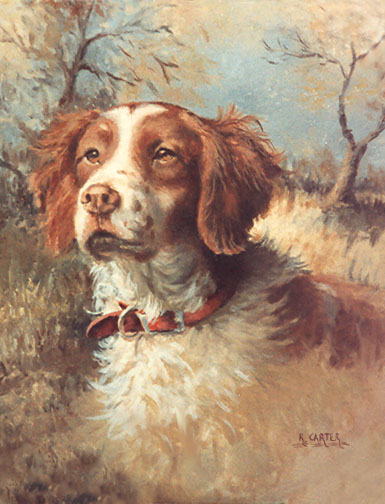 brittanyspaniel.jpg